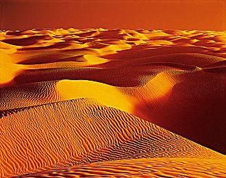 《明末：渊虚之羽》全新视频 女主大战背包怪！